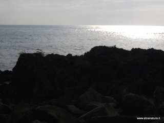 nta Maria la Scala-13-11-2012 08-58-11
